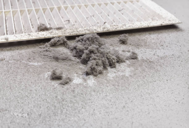 Best Air Duct Cleaning Company Near Me  in Bohners Lake, WI
